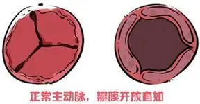 截图-20260412234848 截图-20260412234848